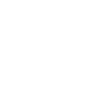 VEAN logo